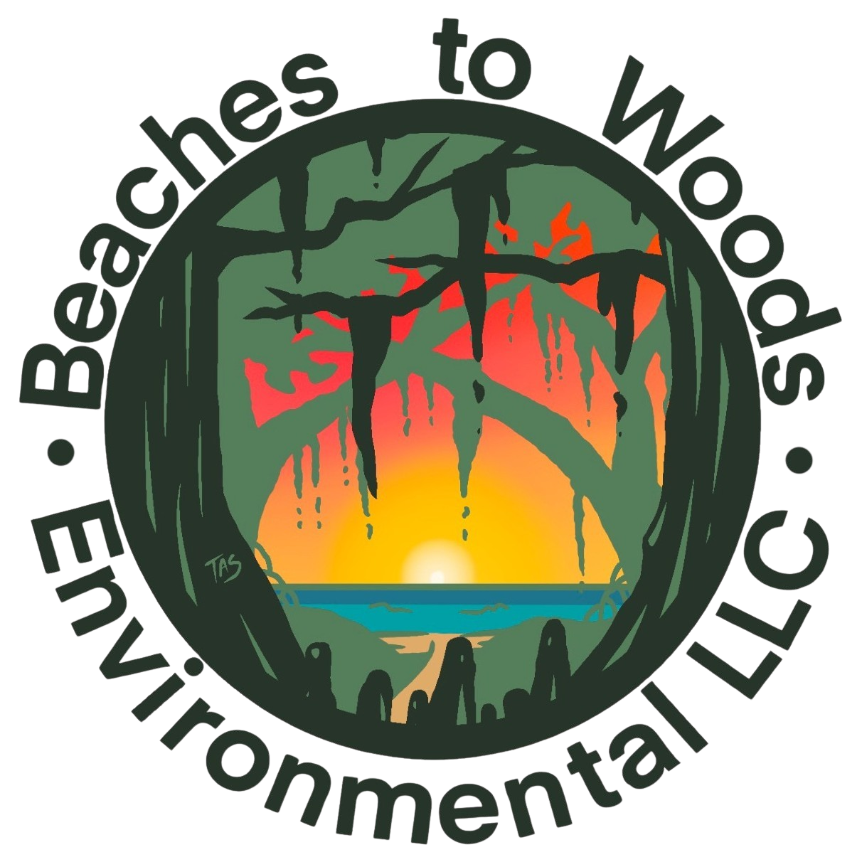 A professional logo for Beaches To Woods Environmental, LLC, featuring elements that represent Florida's diverse ecosystems, such as beaches, forests, and water. The design emphasizes the company's commitment to environmental preservation and sustainable land management across Southwest Florida.