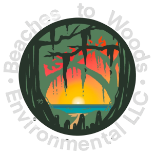 The logo for Beaches to Woods Environmental, LLC, symbolizes the company’s commitment to preserving Florida's diverse ecosystems, from its coastal beaches to inland forests. The design reflects the company’s focus on environmental sustainability and land management, incorporating elements that evoke the state’s natural beauty.